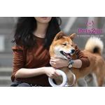 3m Hands Free Polyester Retractable Pet Leash