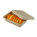 Unbleached Recyclable Compostable Meal Prep Containers Takeout Sugarcane Paper for sale
