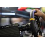 15Nm PC F1 Simulator With Realistic Force Feedback