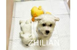 China Pet Pad Training Pad Puppy Pad Machine 170 m / min supplier