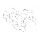 ISO Certified Dental Orthodontic Ligature Twisted 200pcs/pack Made of Medical Stainless Steel for Dental for sale