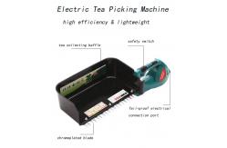 China Rechargeable Tea Tree Plucking Machine With Protable Electric Suit supplier