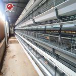 Hot Dipped Galvanized H Type Egg Layer Chicken Cage for sale