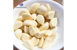 China 90KG Skin Peeling Air Compressor Garlic Processing Machine Garlic Root Shallots supplier