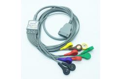 China 10 Leads Beneware Holter Recorder ECG Cable With Snap IEC supplier