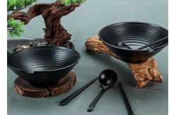 China Unbreakable Melamine Ramen Noodle Bowl Set With Chopsticks Ladle supplier