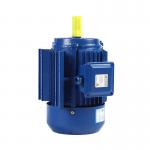 Direct Drive Neodymium Magnet Motor IP54 90kw Variable Speed AC Motor for sale