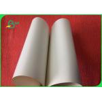 Grade A 500gsm C1S White Coated Ivory Board Paper High Smoothness
