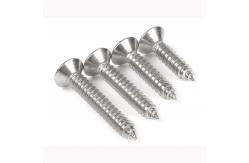 China SUS304 SUS316 Cross Recessed Countersunk Head Screw GB846 Countersunk Head Tapping Screws supplier