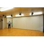 Top Hanging Multi Color Decorative Folding Partition Walls / Acoustic Movable Walls for sale