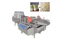 China CE Approved Broccoli Lettue 1 Ton/H Vegetable Washing Machine supplier