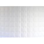 Inflatable Photo Booth Enclosure With Doors Inflatable Photo Booth With Camera