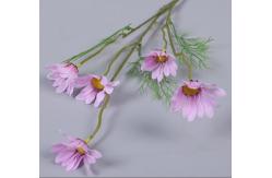 China Decorative Fabric Five Heads Artificial Daisy Branches 50cm Length supplier