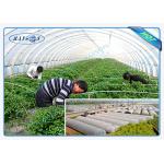 Heavy Duty Landscape Fabric For Tree Cover , PP Spunbond Non Woven Fabric 22GSM for sale