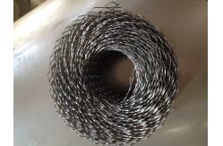 China Plaster Project Brick Reinforcement Mesh Coil Essential Components supplier