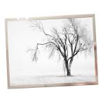 15.0 inch CLAA150XG02 lcd screen Display For Desktop Monitor for sale