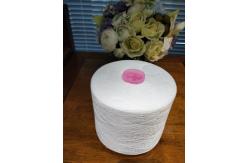 China Regenarated Virgin Polyester Thread 20S/2 With GRS Certificate supplier