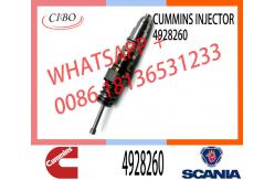 China ISX15 QSX15 Common Rail Fuel Injector 4928260 2874505 4903472 supplier
