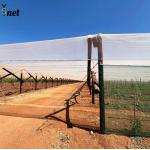 White Anti Hail Net Customized Garden Windbreak Netting 30gsm - 90gsm for sale