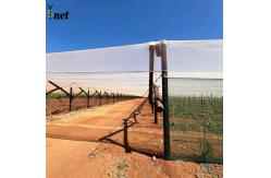China White Anti Hail Net Customized Garden Windbreak Netting 30gsm - 90gsm supplier