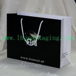 paper  shopping  bag for sale