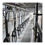 Big 110v 20 Stalls Herringbone Milk Parlor For Cow Milking for sale