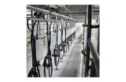 China Low Noise 1.5KW Herringbone Milking Parlor Electric Equipment supplier