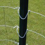 Painted Steel Star Pickets 5ft - 8ft Size Durable for sale