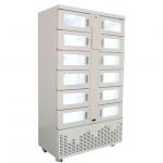 Automatic Cooling Vending Locker With Credit Card Cashless Payment For Cakes Vegetables for sale