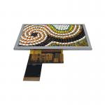 5.0 Inch 800*480 Resolution 40 Pin ILI5960 Lcd Screen  LCD Touch Screen for sale