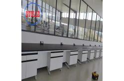China Fire Resistant Chemistry Lab Workbench Laboratory Casework High durability supplier