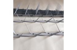 China Hot Dipped Galvanized Wire Fence Security Spikes Burglar Proof supplier
