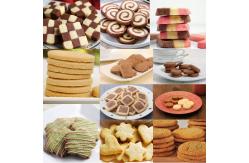 China Automatic panda cookie wire cut cookie machine supplier