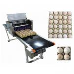 High Speed Food Inkjet Printer / Edible Printing Machine For Whole Disk Eggs for sale