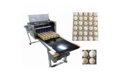 China Poultry Agriculture Egg Marking Equipment , Batch Code Printing Machine For Eggs supplier