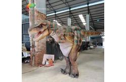 China Customization 4.5 Meters Animatronic T Rex Costume With LED Light supplier