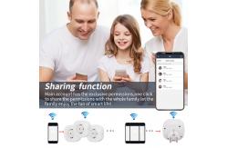 China WIFI EU Plug Socket Tuya Smart Home Automation Electrical Wifi Controlled Socket supplier