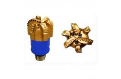 China Rock Heads PDC Drag Bit 8mm 13mm Polycrystalline Diamond Compact Bits supplier