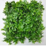 Schools Parks Playgrounds Outdoor Artificial Wall Grass Easy To Install for sale