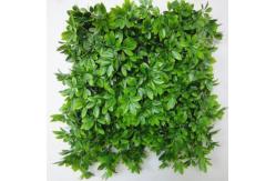 China Schools Parks Playgrounds Outdoor Artificial Wall Grass Easy To Install supplier