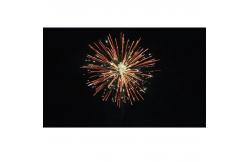 China 16 Shots Consumer Cake Fireworks Chinese Customized Export Fireworks Salute supplier