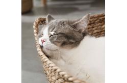 China Natural Handmade Braided Cattail Bamboo Cat Bed With Soft Cushion supplier