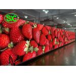 ISO2001 4K GOB LED Display P1.667 P2.0 P2.5 Advertising Wall 1200nits for sale