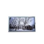 B101EVT03.2 10.1 inch 1280*800 lcd panel manufacturer for sale