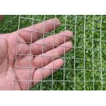 Corrosion Resistance SS Welded 1/2 1/4 Inch 1Inch Bird Cage Wire Mesh for sale