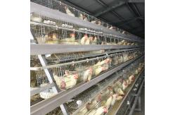 China Chicken Raising A Frame Layer Cages , 3-4tier SONCAO Layer Poultry Farm Cage supplier