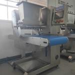 ODM Chocolate Chip Wire Cut Cookie Depositor Sandwich Biscuit Making Press Machine