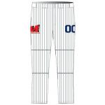 Customized 300gsm Long Baseball Teamwear Jersey Digital Sublimation Printing for sale