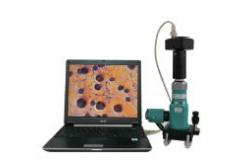 China Monocular Portable Metallurgical Microscope 100x - 500x with LED Illuminator supplier