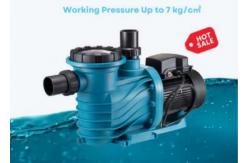 China 2023 Plastic 1HP Swimming Pool  Pumps For Swimming Pool Equipment supplier